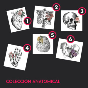 Tazas Aluminio - Colección Anatomical